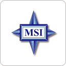 MSI